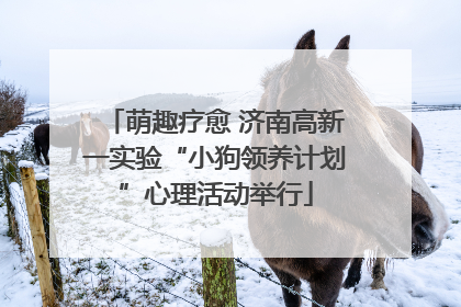 萌趣疗愈 济南高新一实验“小狗领养计划”心理活动举行