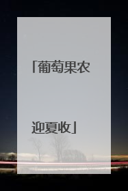 葡萄果农迎夏收