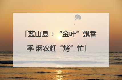 蓝山县：“金叶”飘香季 烟农赶“烤”忙