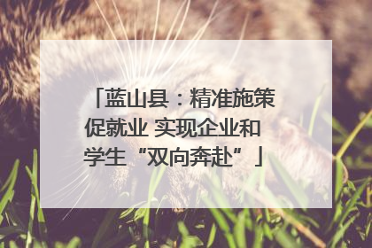 蓝山县：精准施策促就业 实现企业和学生“双向奔赴”