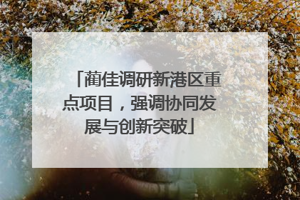 蔺佳调研新港区重点项目，强调协同发展与创新突破
