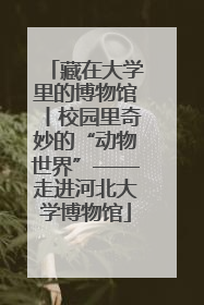 藏在大学里的博物馆丨校园里奇妙的“动物世界”——走进河北大学博物馆