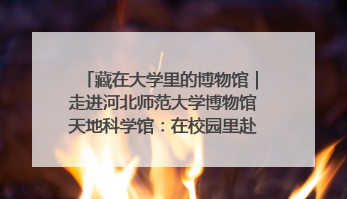 藏在大学里的博物馆｜走进河北师范大学博物馆天地科学馆：在校园里赴一场“宇宙之约”