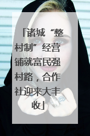 诸城“整村制”经营铺就富民强村路，合作社迎来大丰收