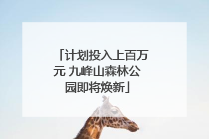 计划投入上百万元 九峰山森林公园即将焕新