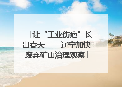 让“工业伤疤”长出春天——辽宁加快废弃矿山治理观察