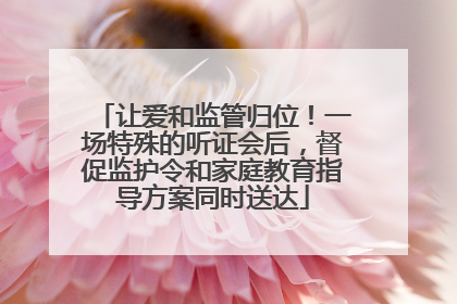 让爱和监管归位！一场特殊的听证会后，督促监护令和家庭教育指导方案同时送达