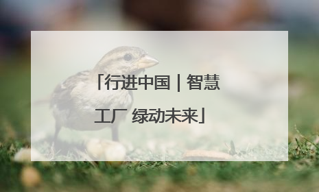 行进中国｜智慧工厂 绿动未来
