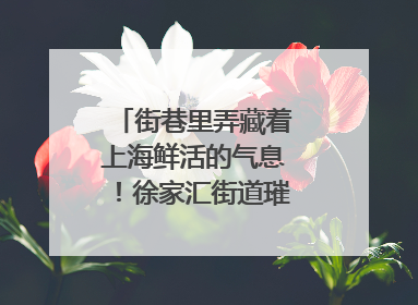 街巷里弄藏着上海鲜活的气息！徐家汇街道璀璨生活节启幕