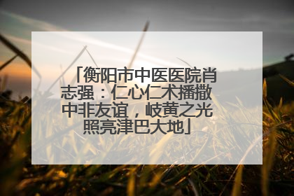 衡阳市中医医院肖志强：仁心仁术播撒中非友谊，岐黄之光照亮津巴大地