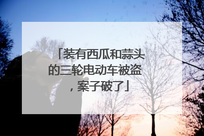 装有西瓜和蒜头的三轮电动车被盗，案子破了