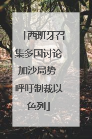 西班牙召集多国讨论加沙局势 呼吁制裁以色列