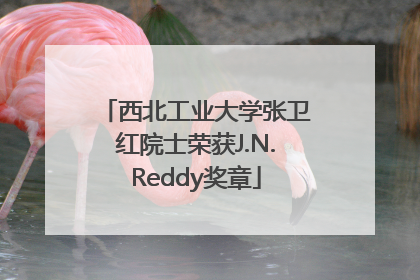 西北工业大学张卫红院士荣获J.N.Reddy奖章