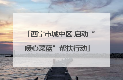 西宁市城中区 启动“暖心菜篮”帮扶行动