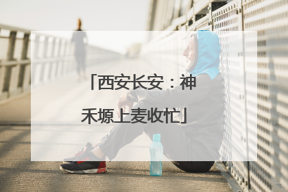 西安长安：神禾塬上麦收忙