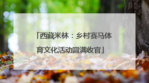 西藏米林：乡村赛马体育文化活动圆满收官