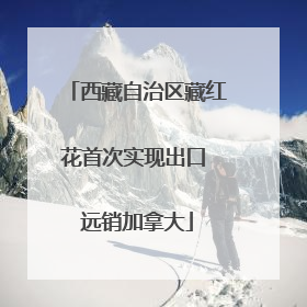 西藏自治区藏红花首次实现出口 远销加拿大