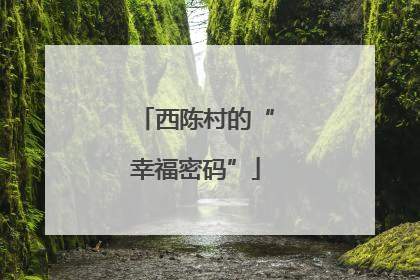西陈村的“幸福密码”