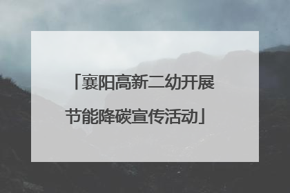 襄阳高新二幼开展节能降碳宣传活动
