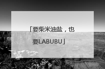 要柴米油盐，也要LABUBU