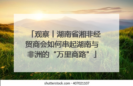 观察丨湖南省湘非经贸商会如何串起湖南与非洲的“万里商路”