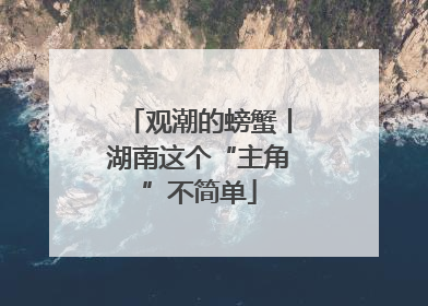 观潮的螃蟹丨湖南这个“主角”不简单