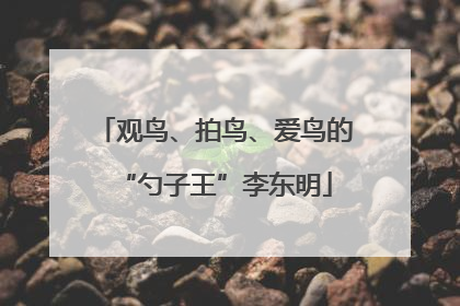 观鸟、拍鸟、爱鸟的“勺子王”李东明