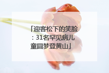 迎客松下的笑脸：31名罕见病儿童圆梦登黄山