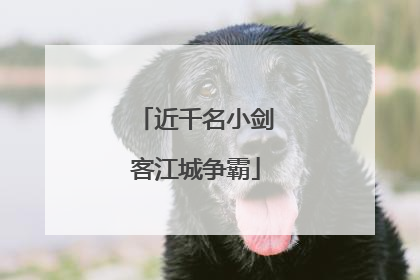 近千名小剑客江城争霸