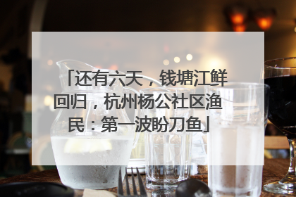 还有六天，钱塘江鲜回归，杭州杨公社区渔民：第一波盼刀鱼