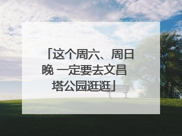这个周六、周日晚 一定要去文昌塔公园逛逛