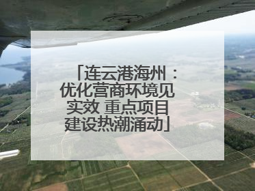 连云港海州：优化营商环境见实效 重点项目建设热潮涌动