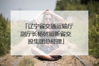 辽宁省交通运输厅副厅长杨树履新省交投集团总经理