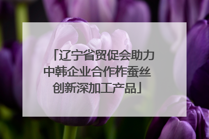 辽宁省贸促会助力中韩企业合作柞蚕丝创新深加工产品