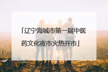 辽宁海城市第一届中医药文化夜市火热开市