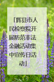 辉县市人民检察院开展防范非法金融活动集中宣传日活动