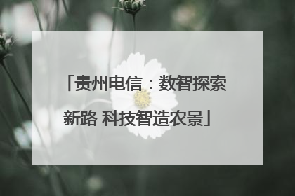 贵州电信：数智探索新路 科技智造农景