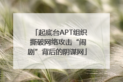 起底台APT组织 撕破网络攻击“闹剧”背后的阴谋网