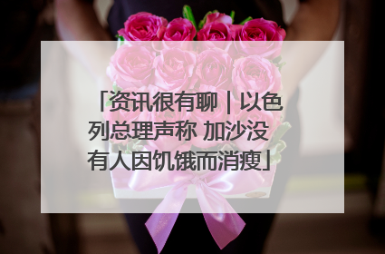 资讯很有聊｜以色列总理声称 加沙没有人因饥饿而消瘦