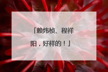 赖炜桢、程祥阳，好样的！
