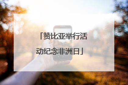 赞比亚举行活动纪念非洲日