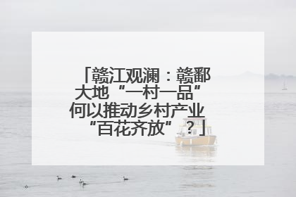 赣江观澜：赣鄱大地“一村一品”何以推动乡村产业“百花齐放”？