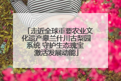 走近全球重要农业文化遗产皋兰什川古梨园系统 守护生态瑰宝 激活发展动能