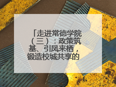 走进常德学院（三）：政策筑基、引凤来栖，锻造校城共享的“双师铁军”