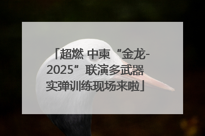 超燃 中柬“金龙-2025”联演多武器实弹训练现场来啦