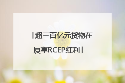 超三百亿元货物在厦享RCEP红利