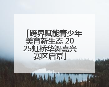 跨界赋能青少年美育新生态 2025虹桥华舞嘉兴赛区启幕