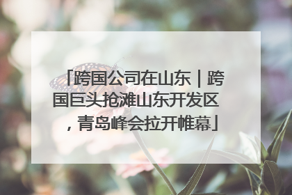 跨国公司在山东｜跨国巨头抢滩山东开发区，青岛峰会拉开帷幕