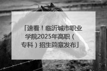 速看！临沂城市职业学院2025年高职（专科）招生简章发布