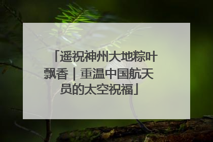 遥祝神州大地粽叶飘香｜重温中国航天员的太空祝福